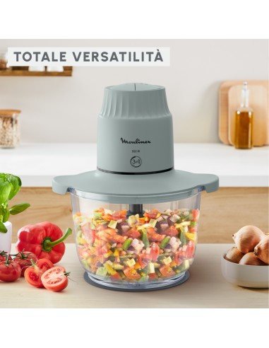 MOULINEX DJ6031 TRITATUTTO CON RECIPIENTE IN VETRO 1LT - CHOPPEO