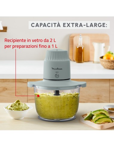 MOULINEX DJ6031 TRITATUTTO CON RECIPIENTE IN VETRO 1LT - CHOPPEO