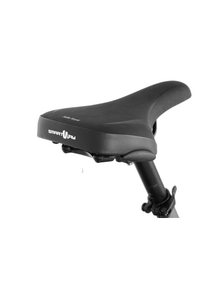 SMARTWAY FAT BIKE 20" MONSTER M1X  GREY MOTORE 48 V SMARTWAY FAT BIKE 20" MONSTER M1X  GREY MOTORE 48 V