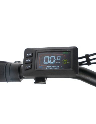 SMARTWAY FAT BIKE 20" MONSTER M1X  GREY MOTORE 48 V