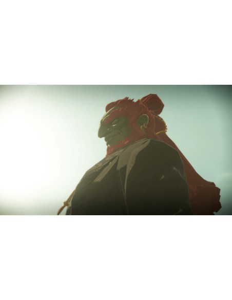 HYRULE WARRIORS SWITCH 2