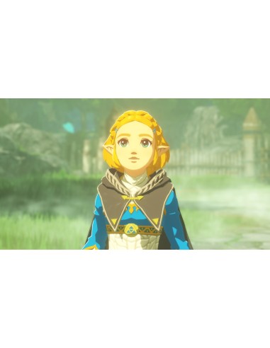 HYRULE WARRIORS SWITCH 2