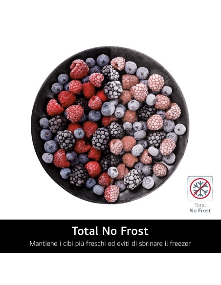 LG GBV5140CPY COMB. C 344LT NF INOX INVERTER DISPLAY INTERNO H186 L60