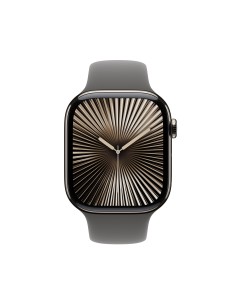 APPLE WATCH S10+CELL.46MM NATUR.CASE -STONE GREY SPORT BAND M/L 2