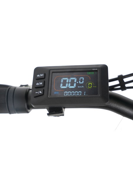 SMARTWAY FAT BIKE 20" MONSTER M6   TELAIO IN ALLUMINIO MOTORE 48V