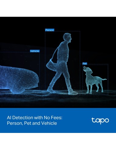 TPLINK TAPO TC47 IP CAM WIFI/LAN 2K PER ESTERNO IP66 DOPPIO OBIETTIVO