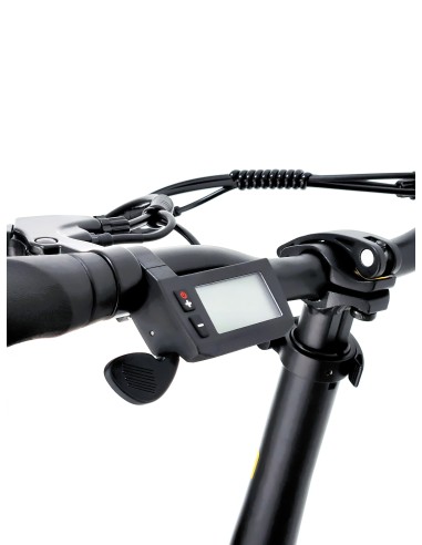 ARGENTO FAT BIKE 20" MINI MAX GOLD