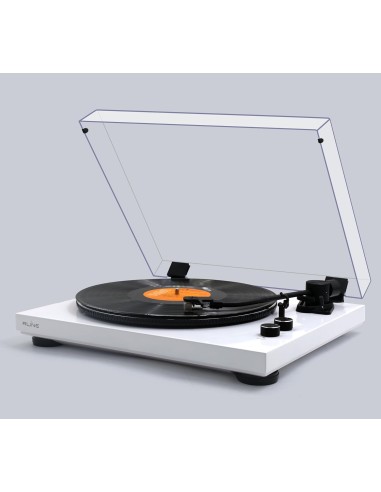 RLINE RLTN11WH GIRADISCHI BT BIANCO LUCIDO