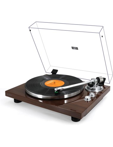 RLINE RLTN22GWLN GIRADISCHI BT NOCE LUCIDO