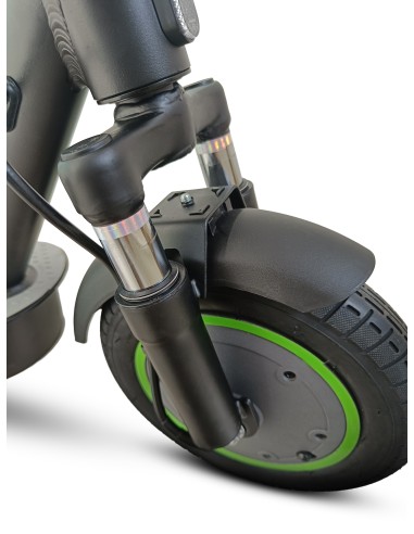 ARGENTO MONOPATTINO 10" AG2        DOPPIA SOSPENSIONE