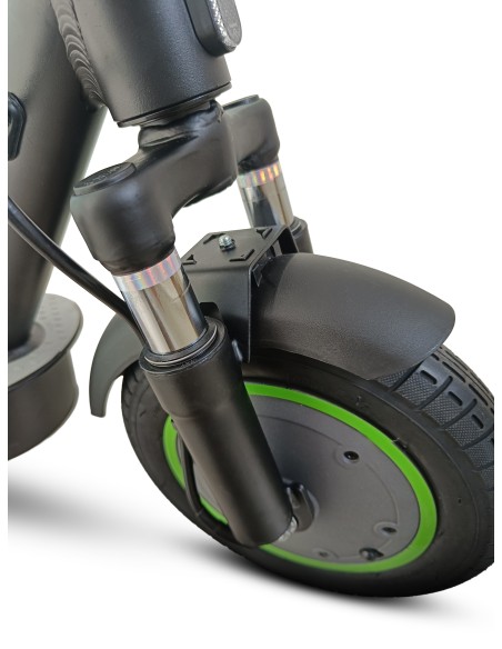 ARGENTO MONOPATTINO 10" AG2        DOPPIA SOSPENSIONE