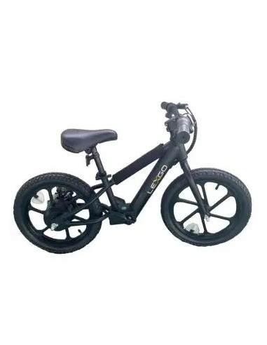 LEXGO BIKE KIDS EFUN 20