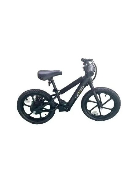 LEXGO BIKE KIDS EFUN 20