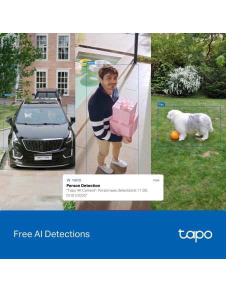 TPLINK TAPO TC92KIT IP CAM WIFI 4K MOTORIZZATA P.SOLARE BATTERIA IP65