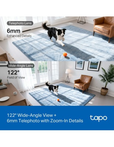 TPLINK TAPO C245D IP CAM WIFI 2K DA INTERNO MOTORIZZATA D.OBIETTIVO