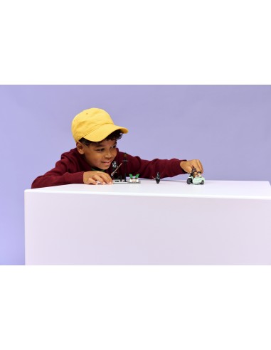 LEGO HARRY POTTER TM FUGA DA PRIVET DRIVE DI HAGRID  E HARRY