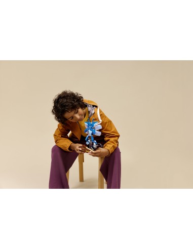 LEGO HARRY POTTER TM FOLLETTO DELLA CORNOVAGLIA