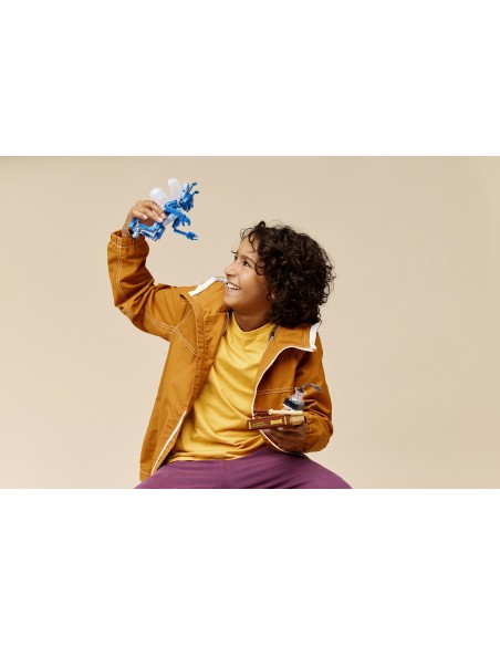 LEGO HARRY POTTER TM FOLLETTO DELLA CORNOVAGLIA