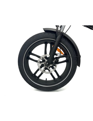 ARGENTO FAT BIKE 20" IRON MAX TWIN BATTERY - BATT. 48/15MAH+48/10,4MAH