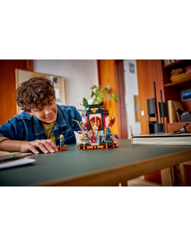 LEGO NINJAGO DISPLAY PERSONAGGI NINJA   15° ANNIVERSARIO
