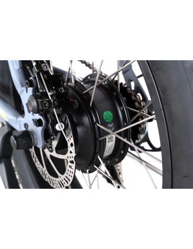 SMARTWAY FAT BIKE 20" MONSTER M1X  ANTRACITE
