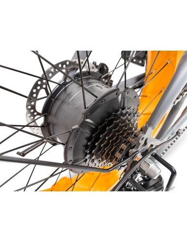 ARGENTO FAT BIKE 20" MINIMAX GREY