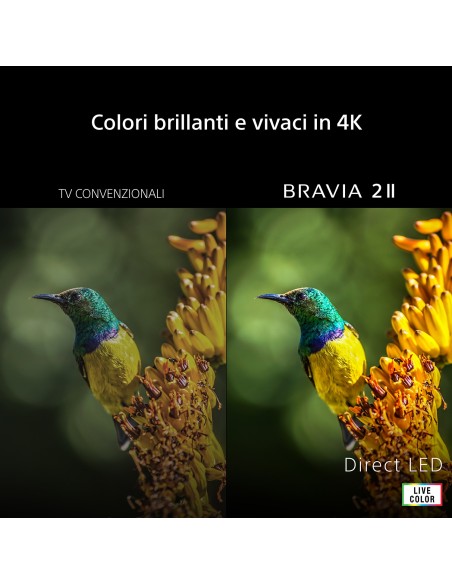 SONY K50S25M2P TVC 50" 4K GOOGLE TVSAT