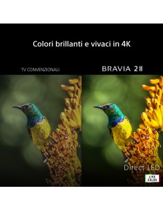 SONY K43S25M2P TVC 43" 4K GOOGLE TVSAT 2