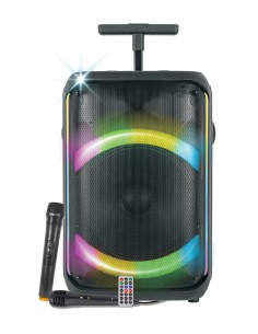 KARMA AURALIS DIFFUSORE TROLLEY BT 300W 1 RADIOMICROFONO + 1 MIC.FILO