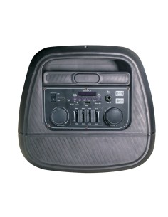 KARMA AURALIS DIFFUSORE TROLLEY BT 300W 1 RADIOMICROFONO + 1 MIC.FILO 2