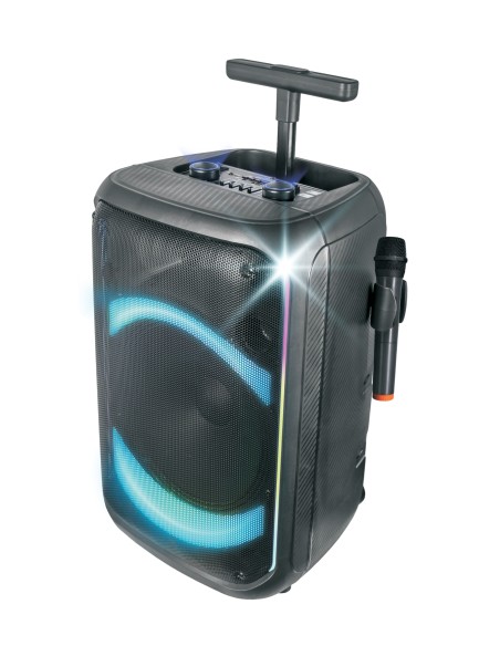 KARMA AURALIS DIFFUSORE TROLLEY BT 300W 1 RADIOMICROFONO + 1 MIC.FILO