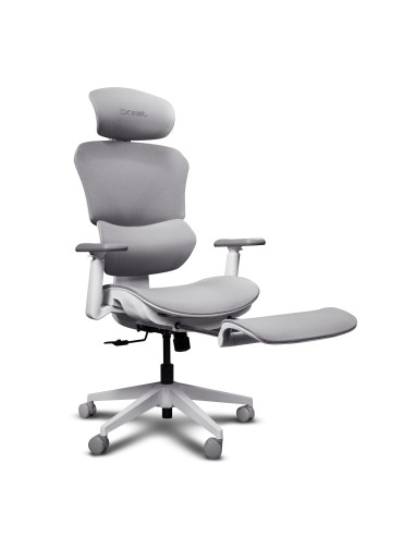 TRUST 26146 GXT 725 RIVARA BIANCO SEDIA ERGONOMICA IN RETE