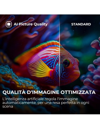 HAIER H65S80GUX TVC 65" 4K QLED    GOOGLE 120HZ