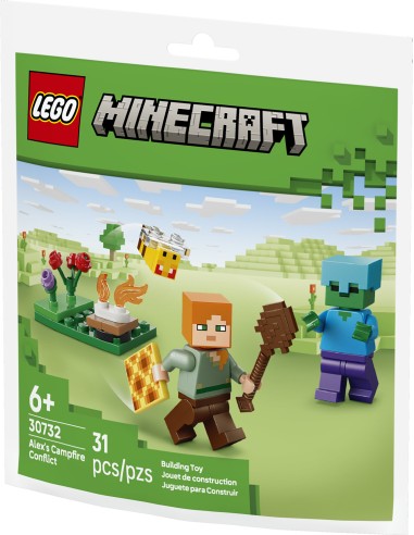 LEGO MINI BUILDS MINECRAFT         CONFLITTO AL FALÒ DI ALEX