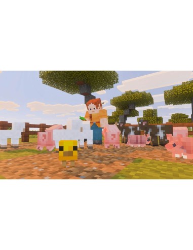 MINECRAFT SWITCH 2